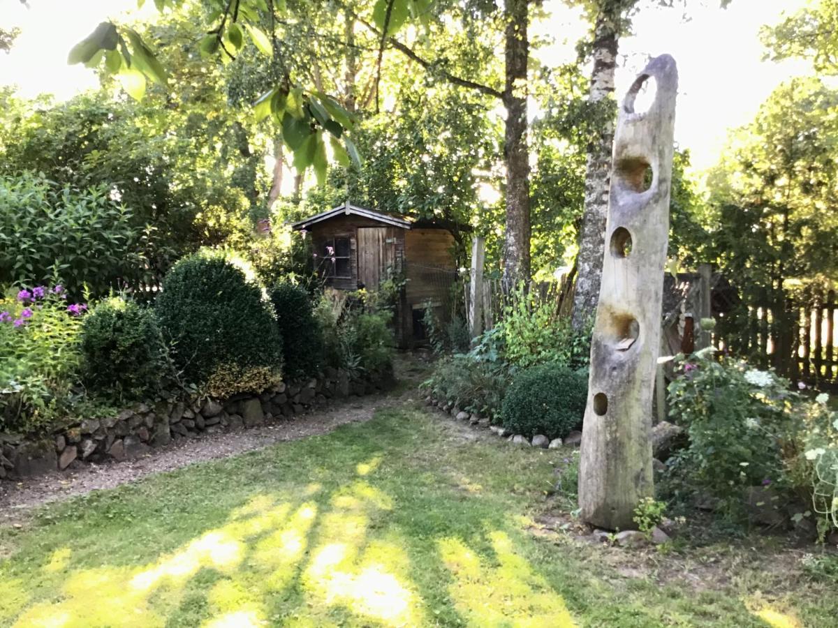 Apartment Spitzweg, - Lueneburger Heide *